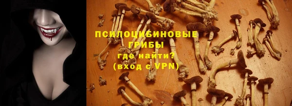 сатива Приозерск