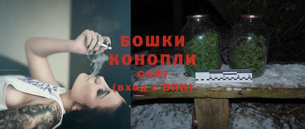 сатива Приозерск