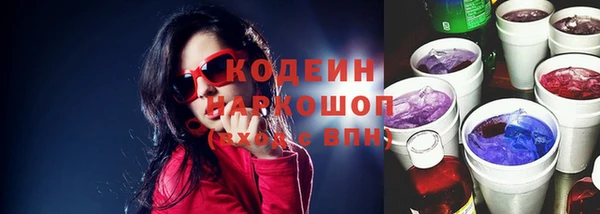 МДПВ Протвино