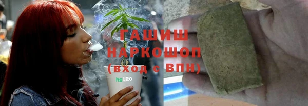 сатива Приозерск