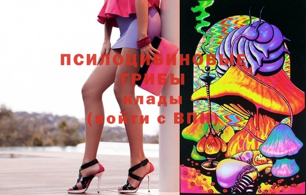 сатива Приозерск