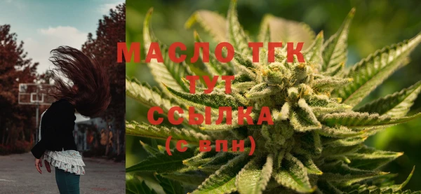 МДПВ Протвино