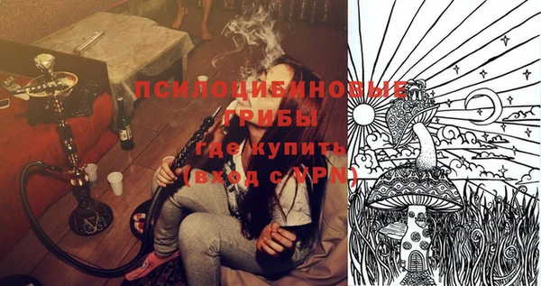 сатива Приозерск