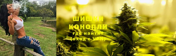 МДПВ Протвино
