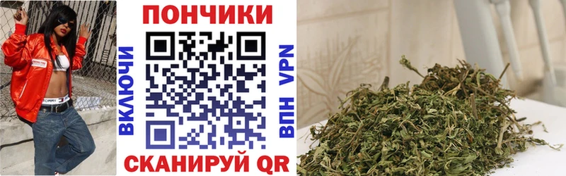 Марихуана сатива Судак